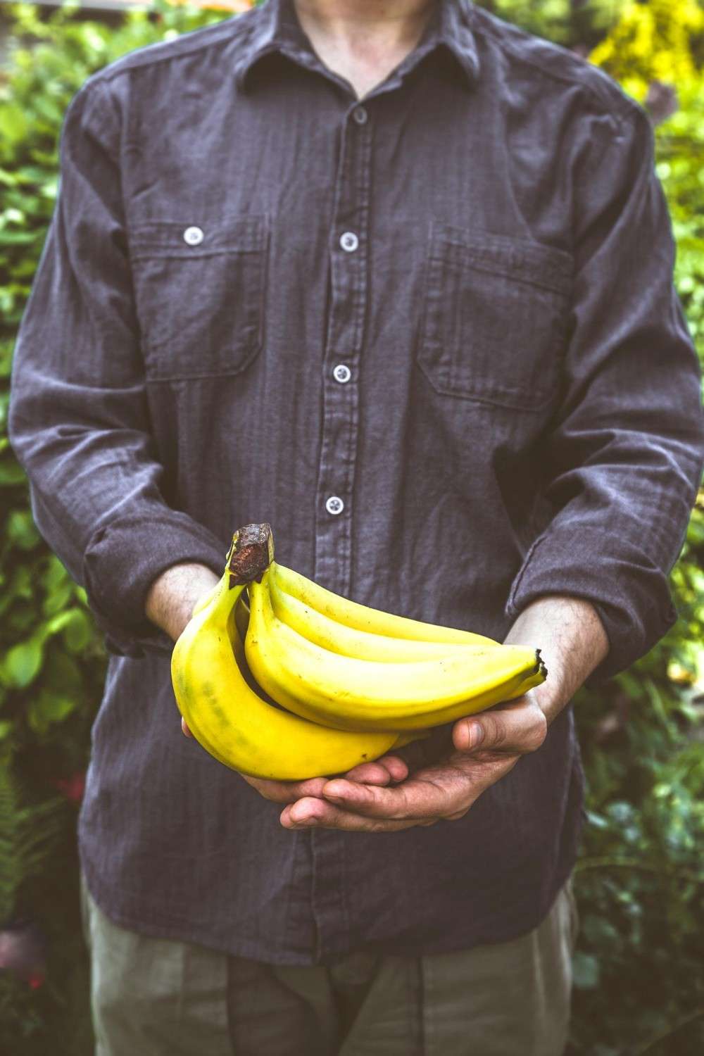 A-Grade-Cavandish-Fresh-Bananas